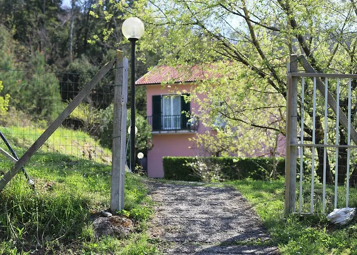 Pavi Delle 5 Terre