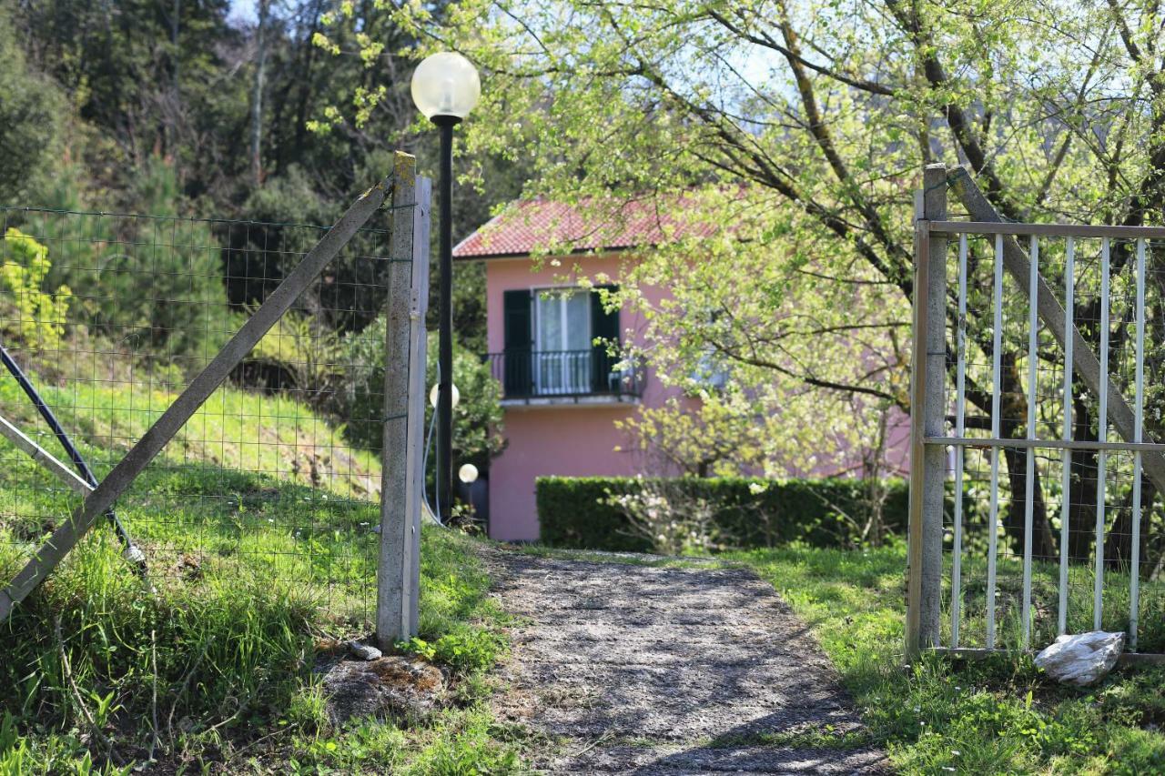 Pavi Delle 5 Terre Vernazza