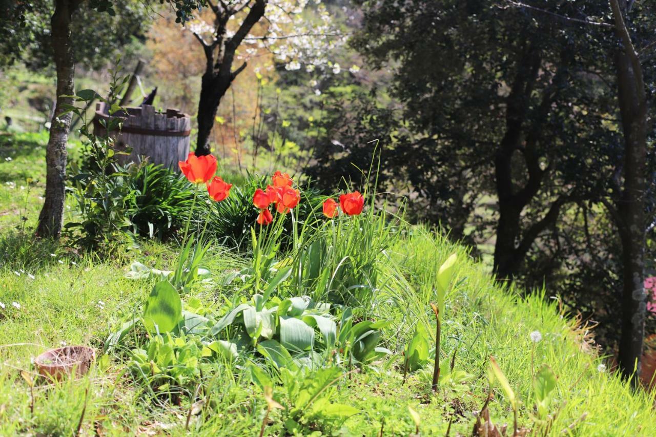 Pavi Delle 5 Terre Farm stay